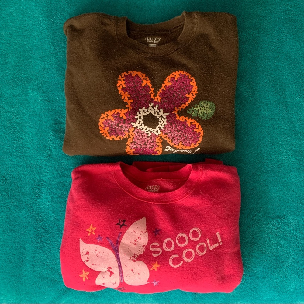 Youth Sweatshirt Bundle Girls XL (14-16)